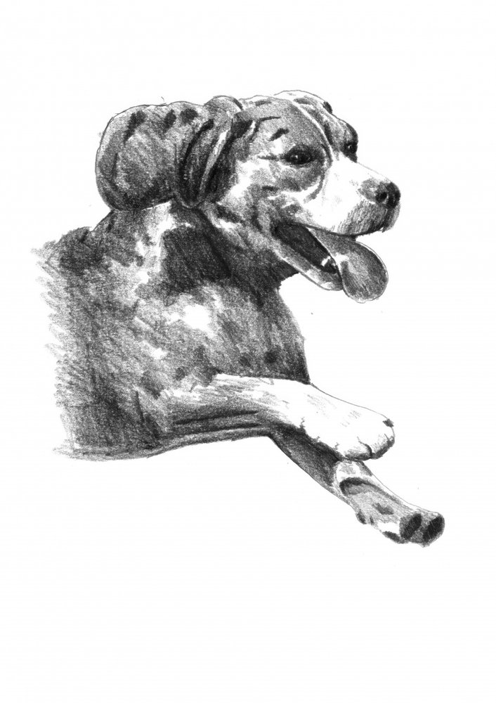  af Kulik