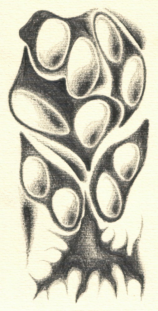  af Kulik