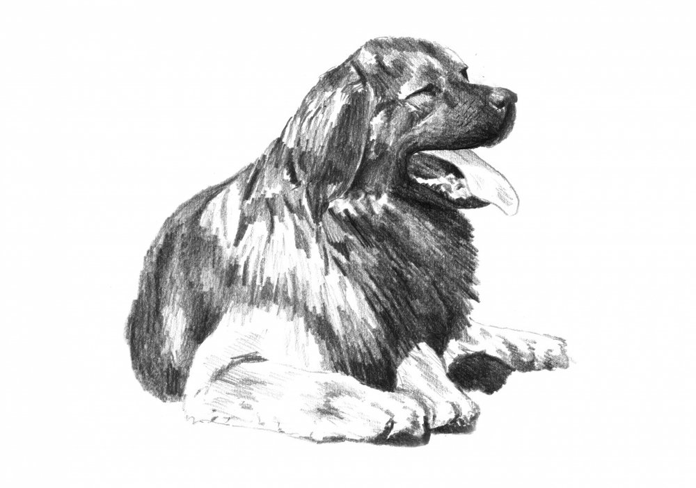  af Kulik