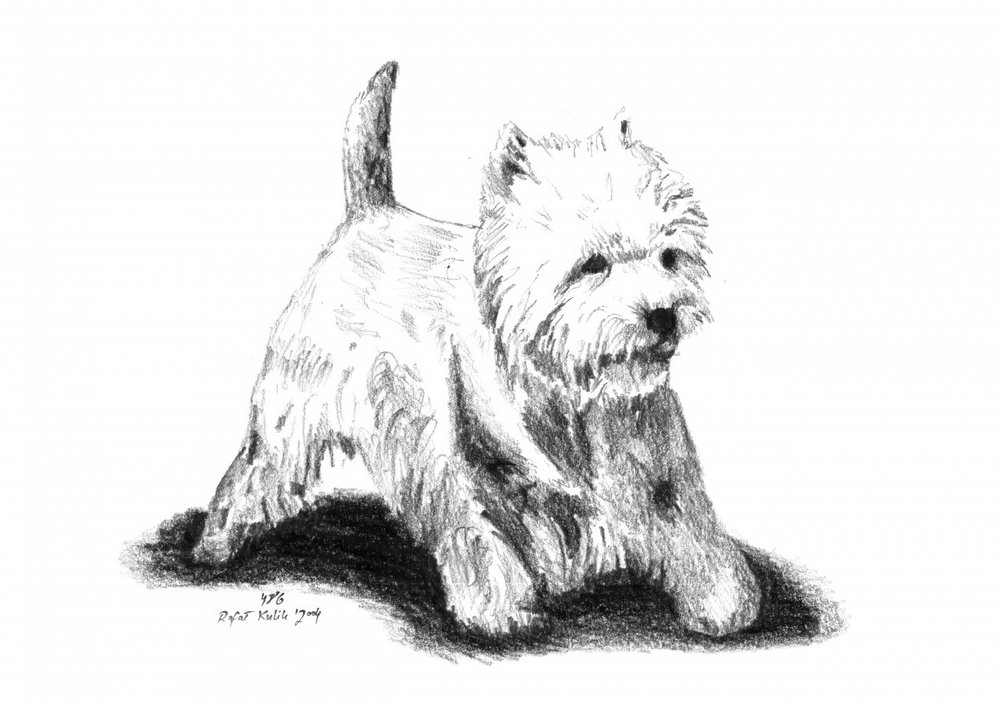  af Kulik