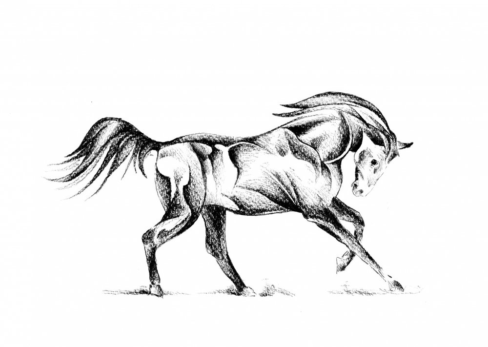  af Kulik