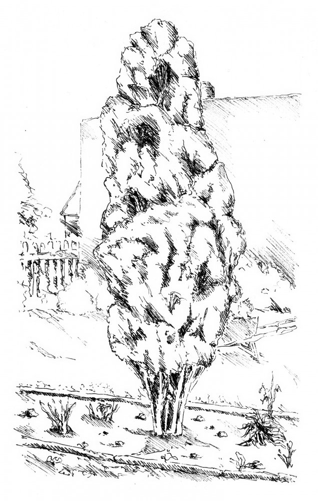  af Kulik
