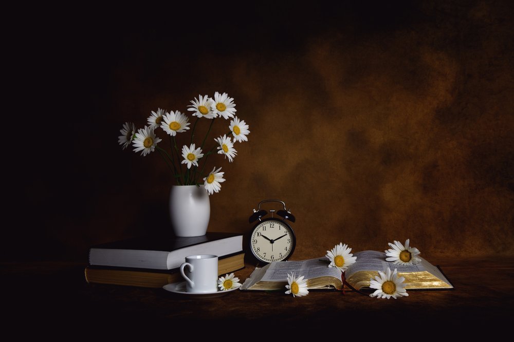 Daisies Books Morgenfred af Leah Xu