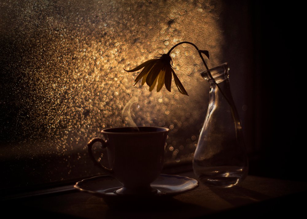 Golden Light-kaffeblomst af Lenka