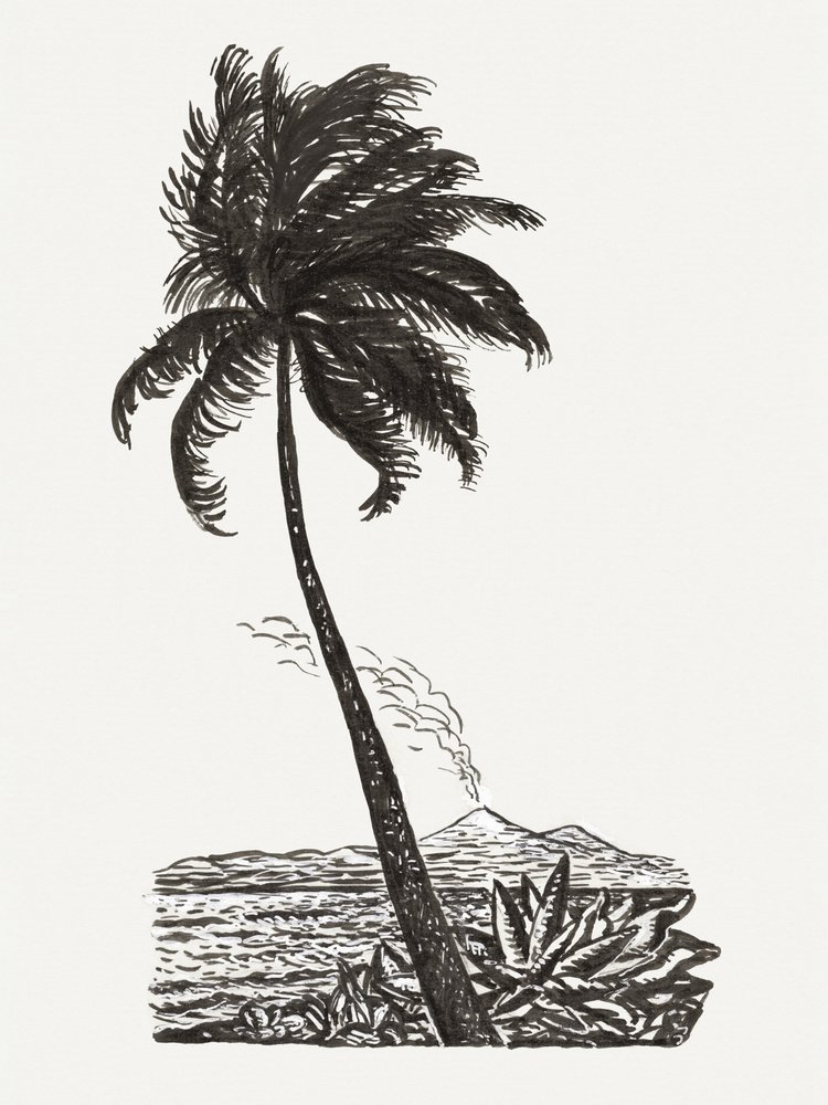 Palme med en ø (ca. 1891–1941) af Leo Gestel