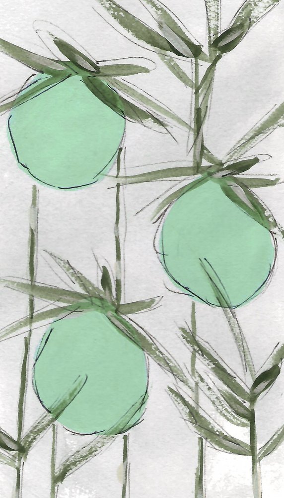 Abstrakt: Grønne botaniske motiver af Lori Ann Folz