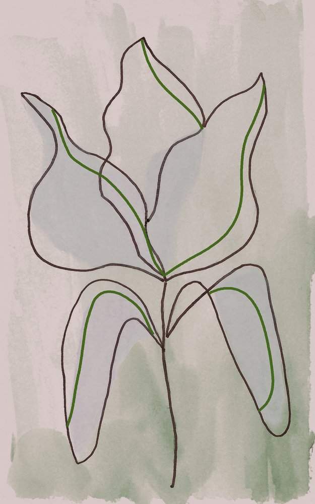 Minimalistisk botanisk skitse af Lori Ann Folz