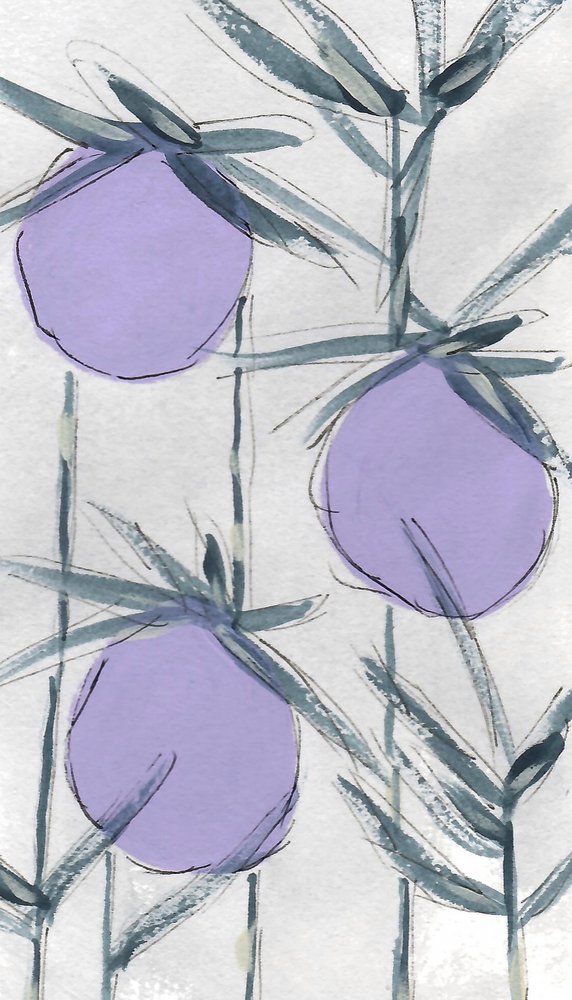 Lilla botaniske frugter af Lori Ann Folz