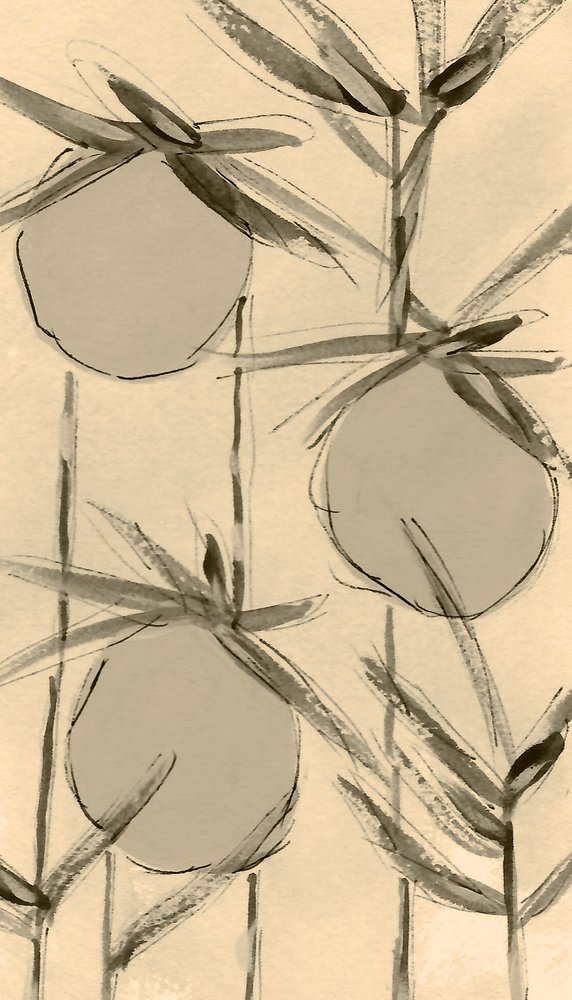 Sepia-bomuldsplanter af Lori Ann Folz