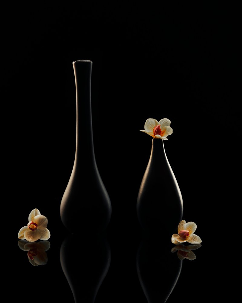 Elegante orkidé-refleksioner af Louie Luo