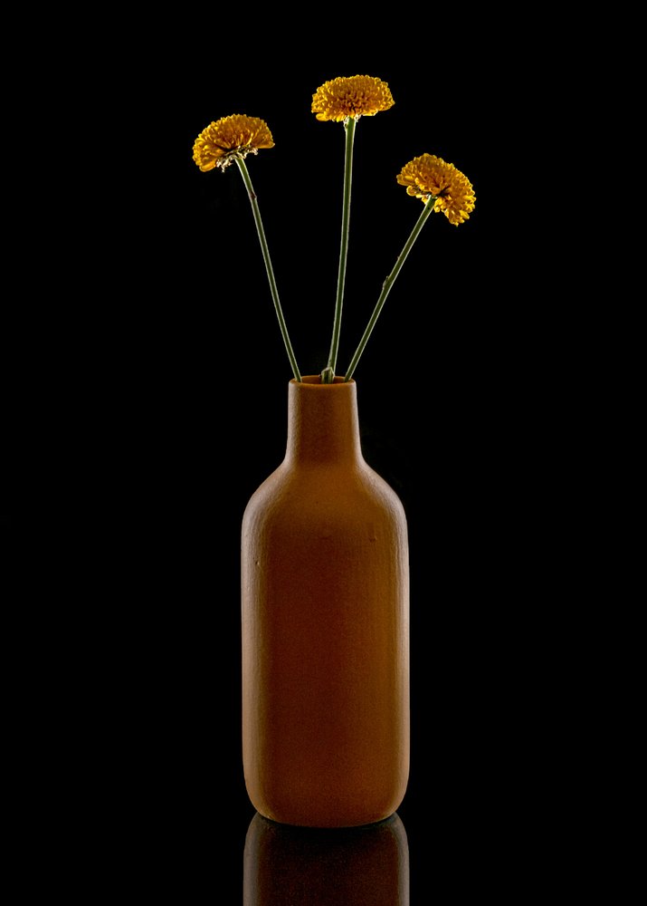 Varm blomsterbrun vase af Louie Luo