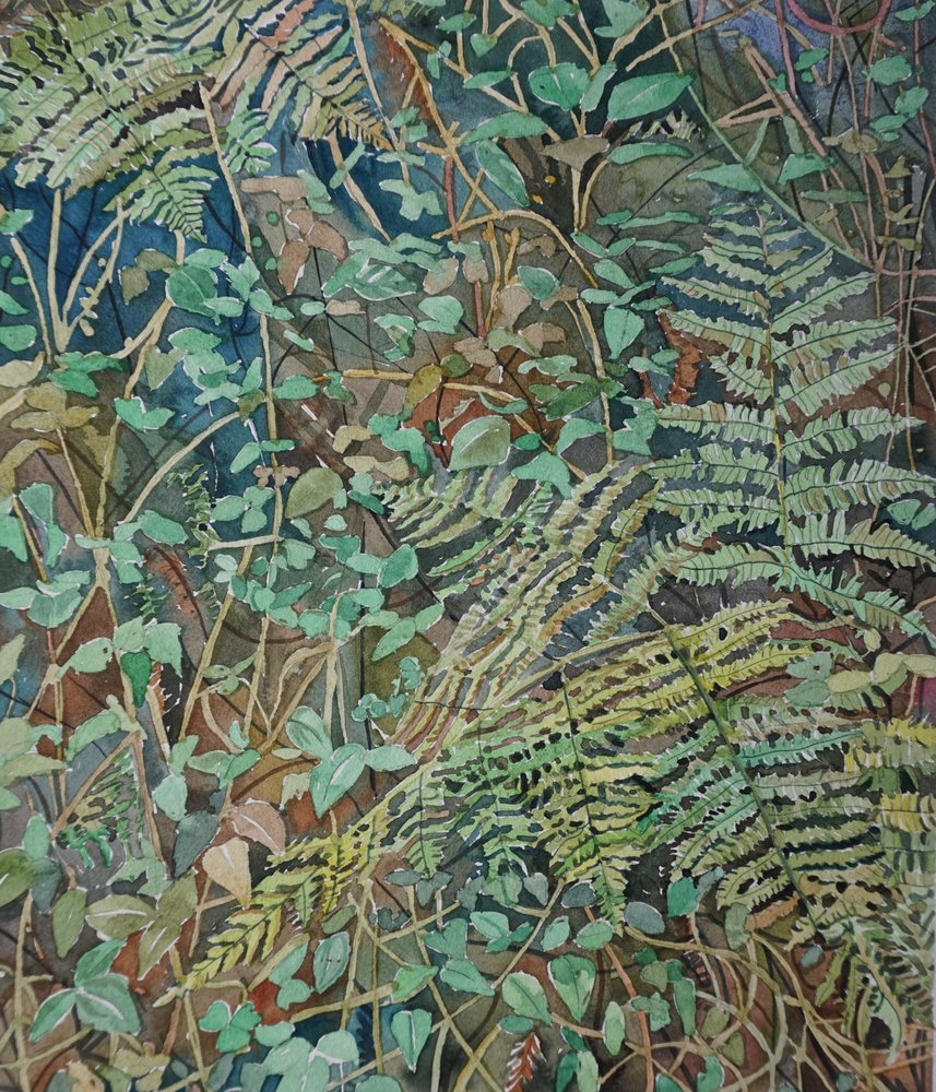 Frodige skovbregner af Luisa Millicent