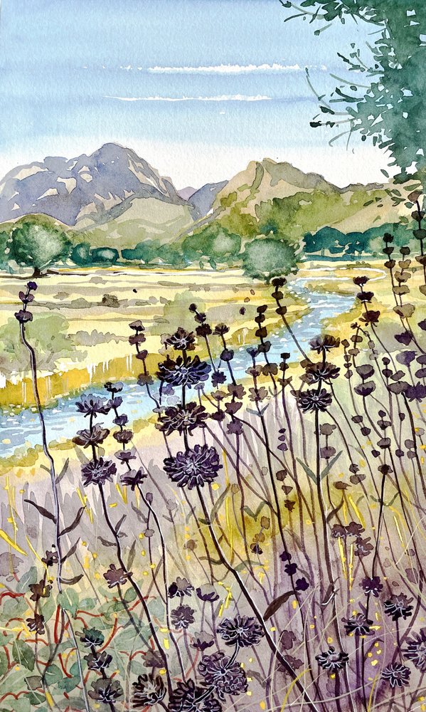 Bjergflodens vilde blomster af Luisa Millicent