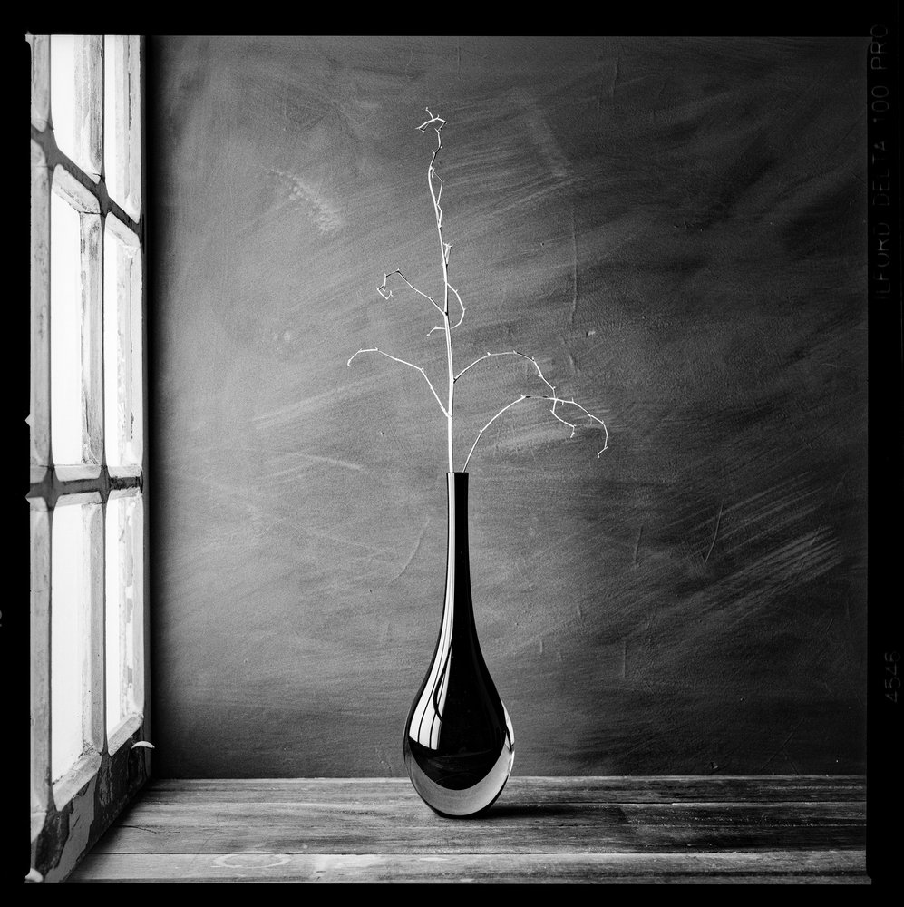 Minimalistisk grenvase af Luiz Laercio