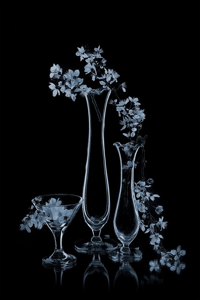 Blå blomster i glasvaser af Lydia Jacobs