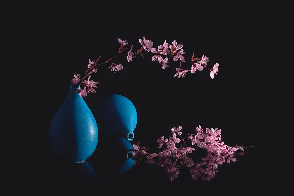 Blå vaser med kirsebærblomster af Lydia Jacobs