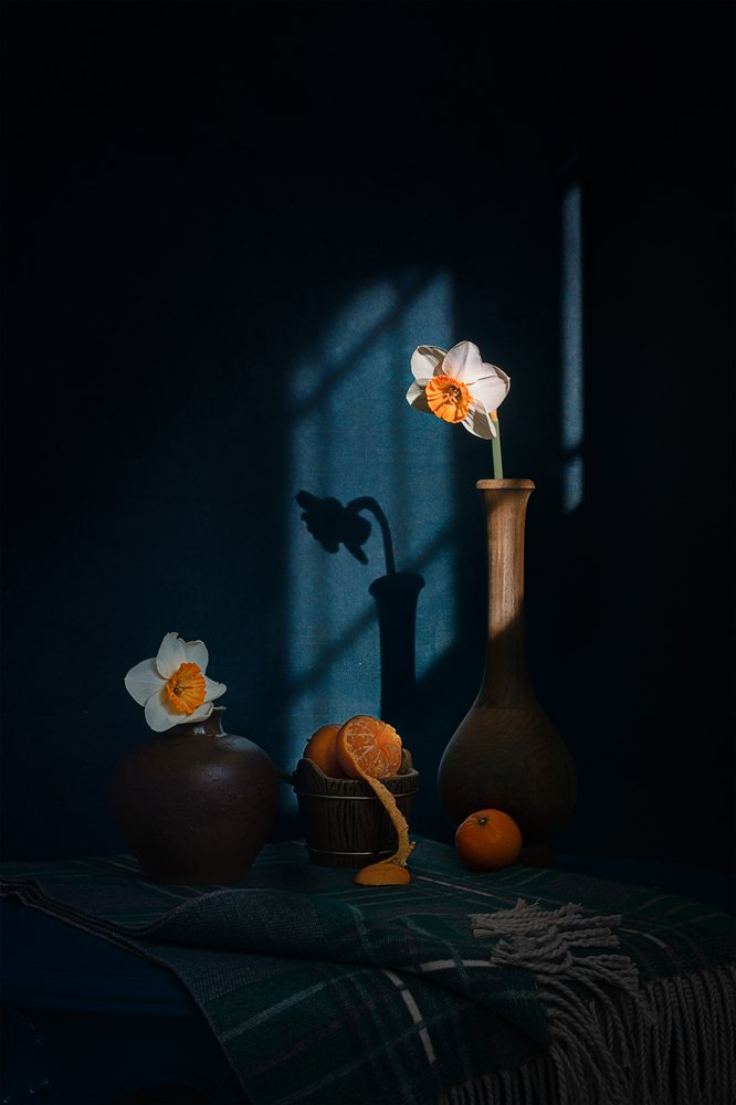 Påskeliljer Citrus Shadows af Lydia Jacobs