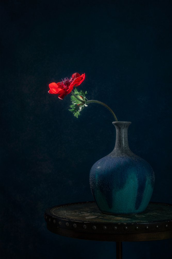 Dark Anemone-vase af Lydia Jacobs