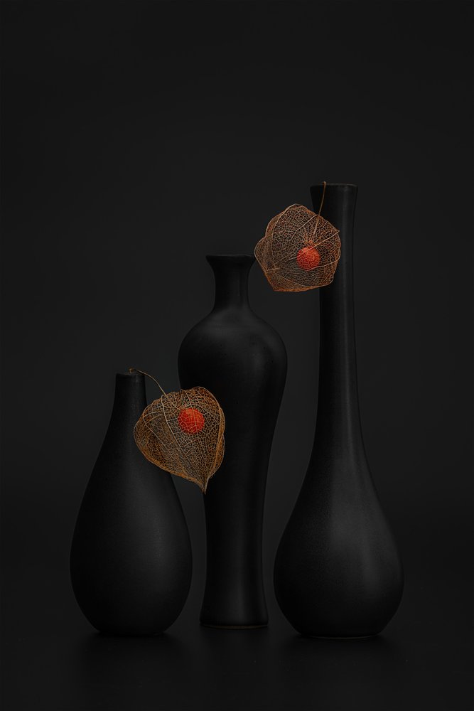 Elegant sort Physalis-stilleben af Lydia Jacobs