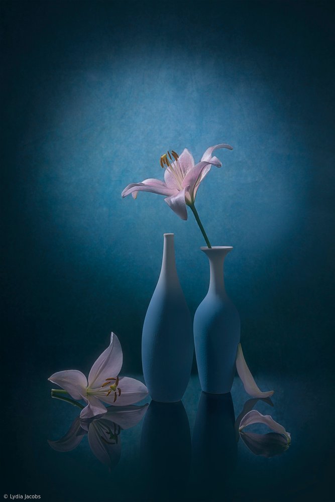 Elegante blå liljer af Lydia Jacobs