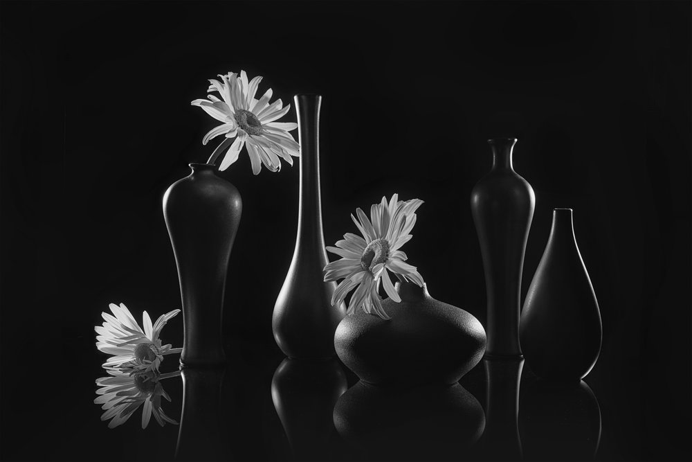 Elegant stilleben med tusindfryd af Lydia Jacobs