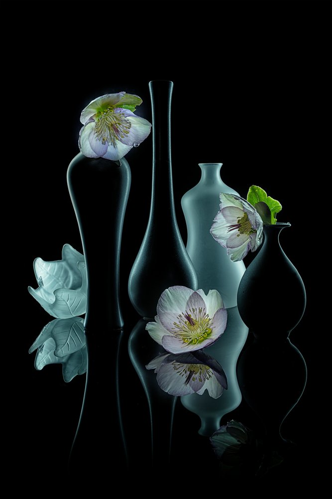 Elegant blomsterglans af Lydia Jacobs