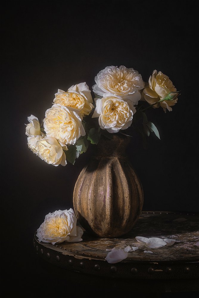 Elegant rosenstilleben af Lydia Jacobs