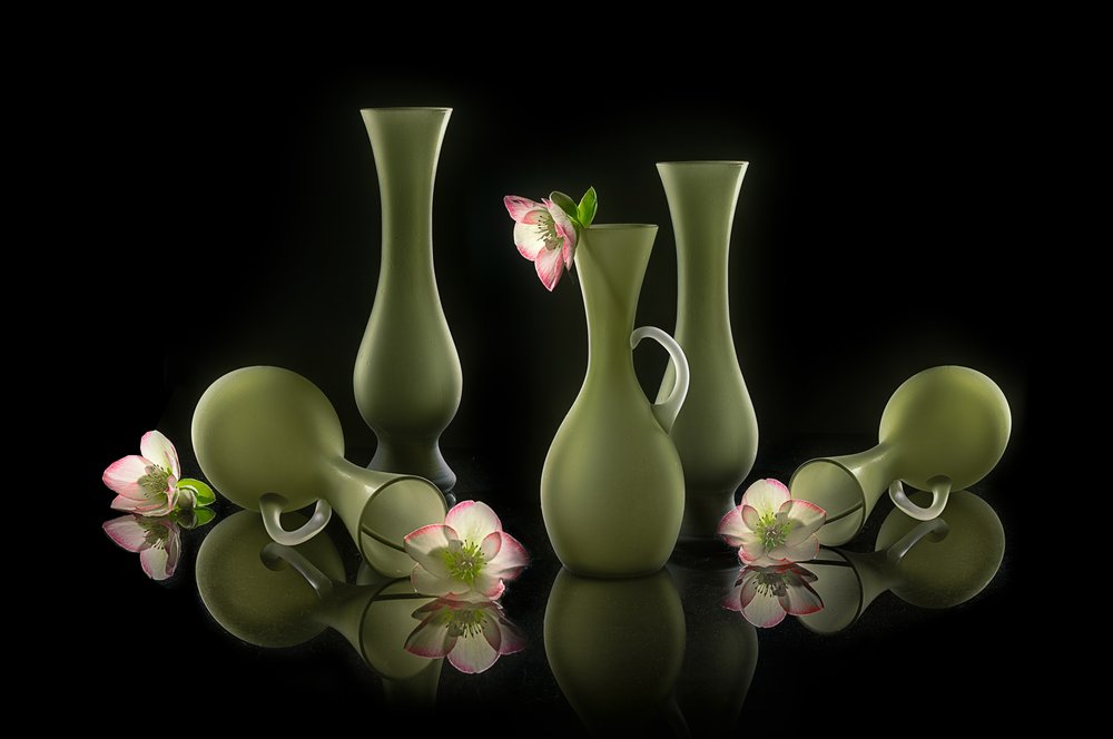 Elegante vaser og blomster af Lydia Jacobs