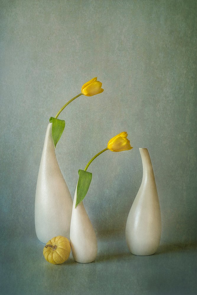 Stilleben med elegante gule tulipaner af Lydia Jacobs