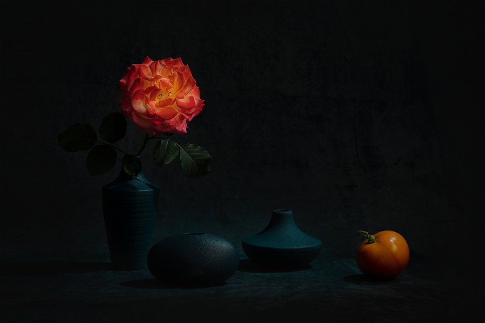 Lysende orange rose af Lydia Jacobs