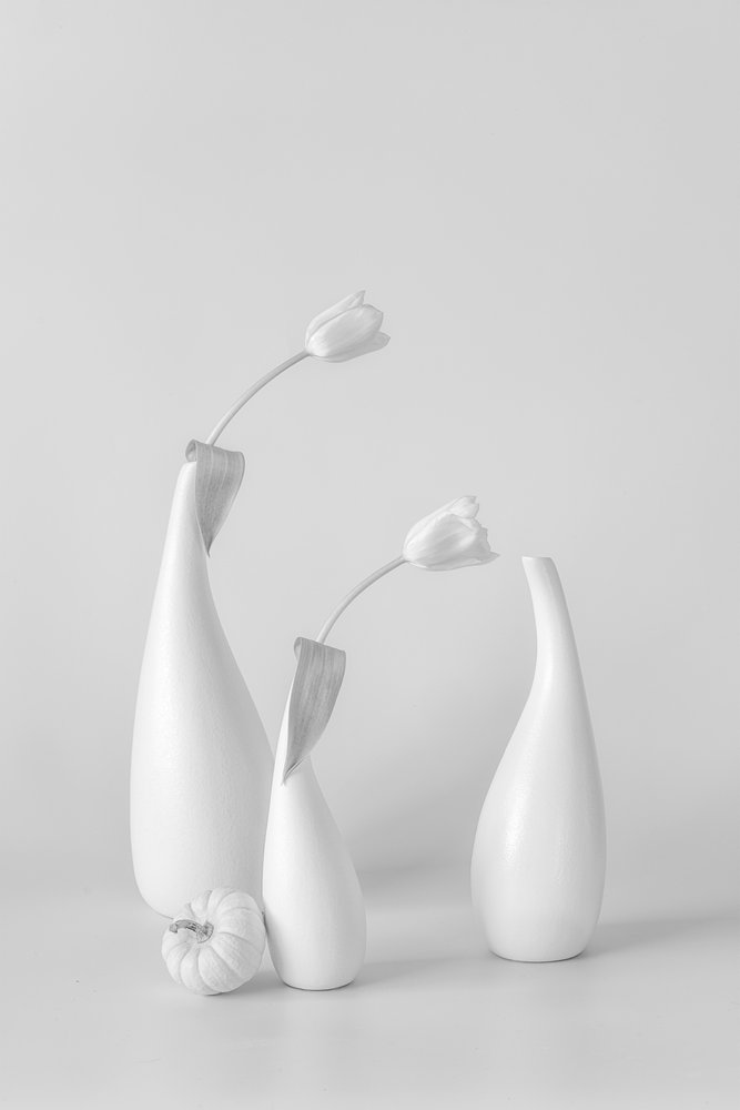 Minimalistiske hvide tulipaner af Lydia Jacobs
