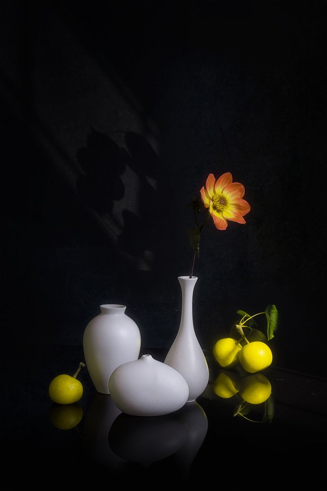 Stemningsfulde blomster og frugter af Lydia Jacobs