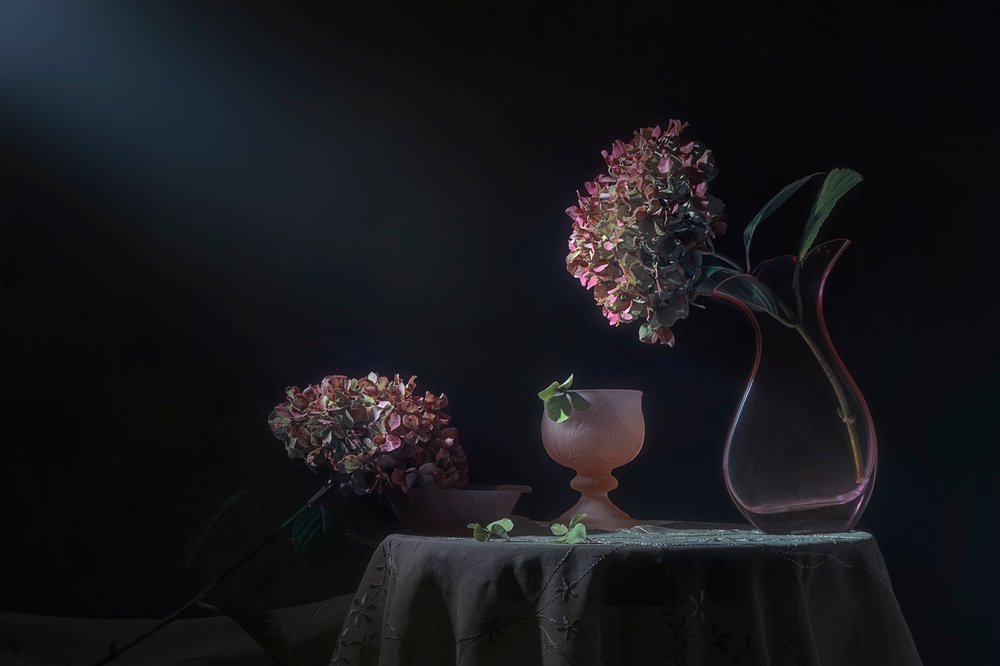 Stilleben med Moody-hortensia af Lydia Jacobs