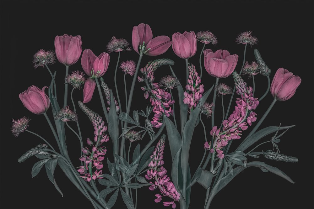Stemningsfulde lyserøde blomster af Lydia Jacobs