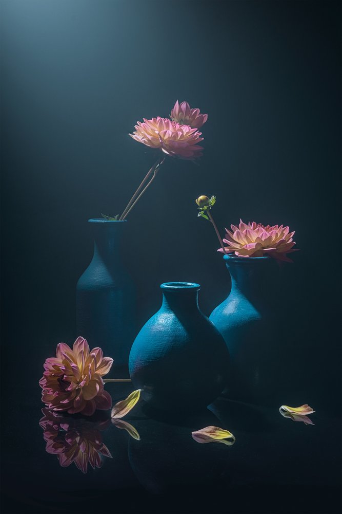 Moody Pink-dahliaer af Lydia Jacobs