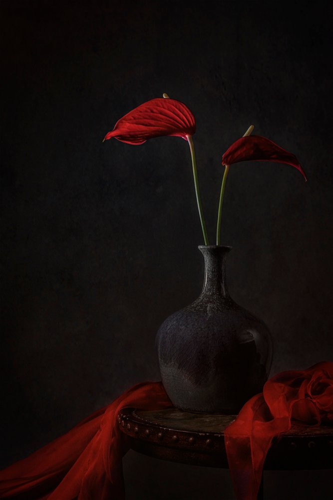 Moody Red-anthurier af Lydia Jacobs