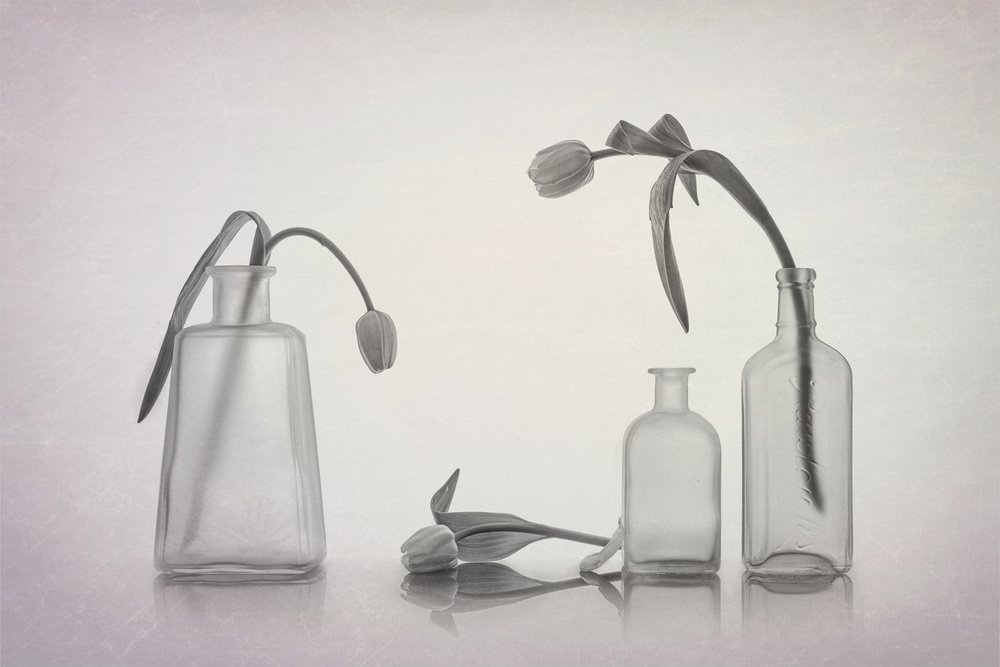 Stilleben med tulipaner af Lydia Jacobs