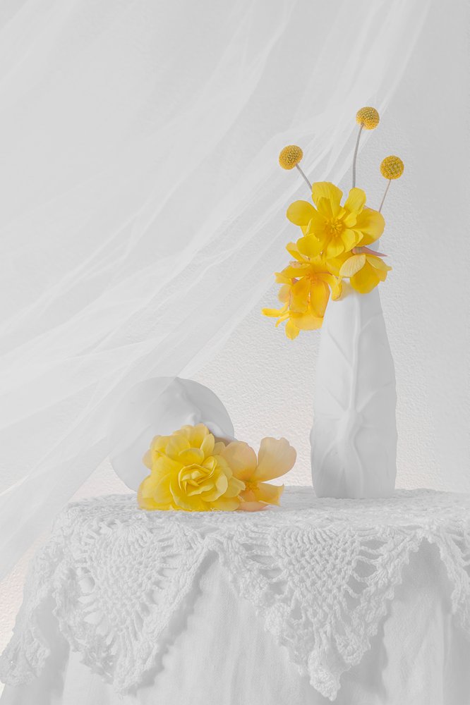 Blødt, gult blomsterstilleben af Lydia Jacobs