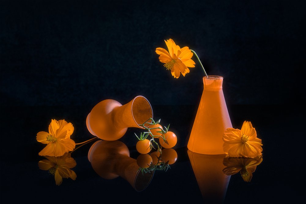 Stilleben i levende orange af Lydia Jacobs