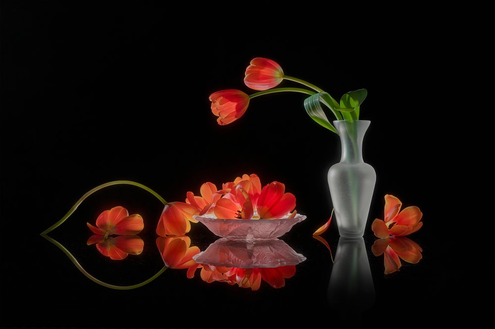 Stilleben med farvestrålende tulipaner af Lydia Jacobs