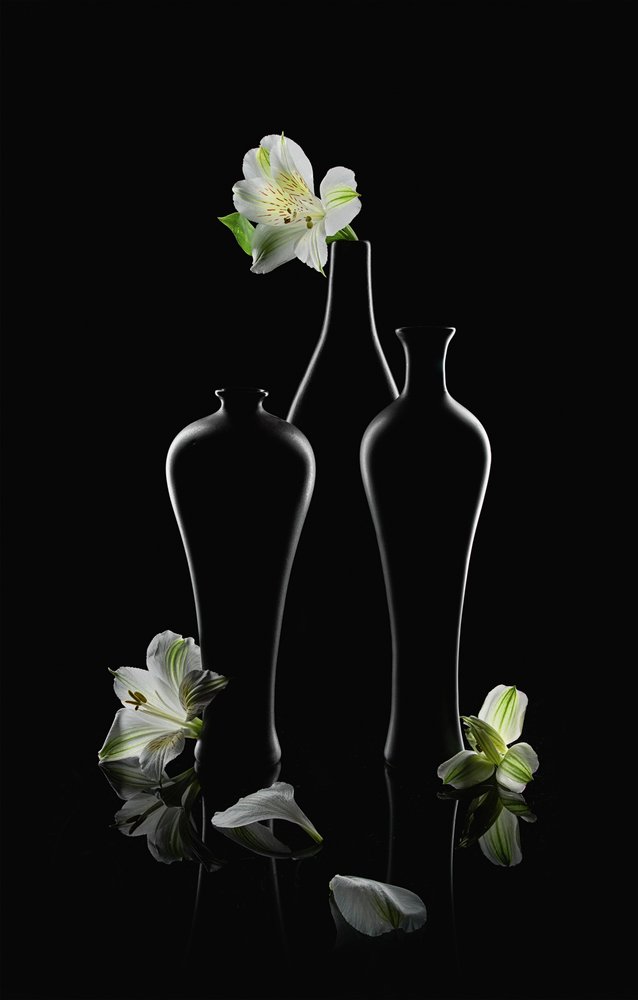 Hvide blomster, mørke vaser af Lydia Jacobs
