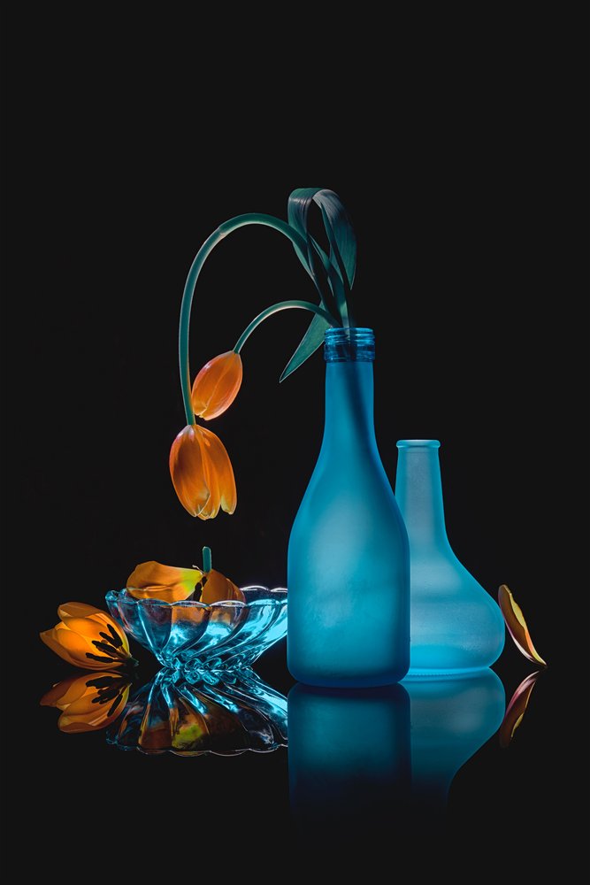 Stilleben med visne tulipaner af Lydia Jacobs