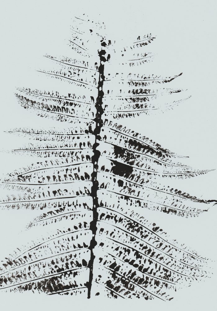 Black Ink Fern af Maira Ribena