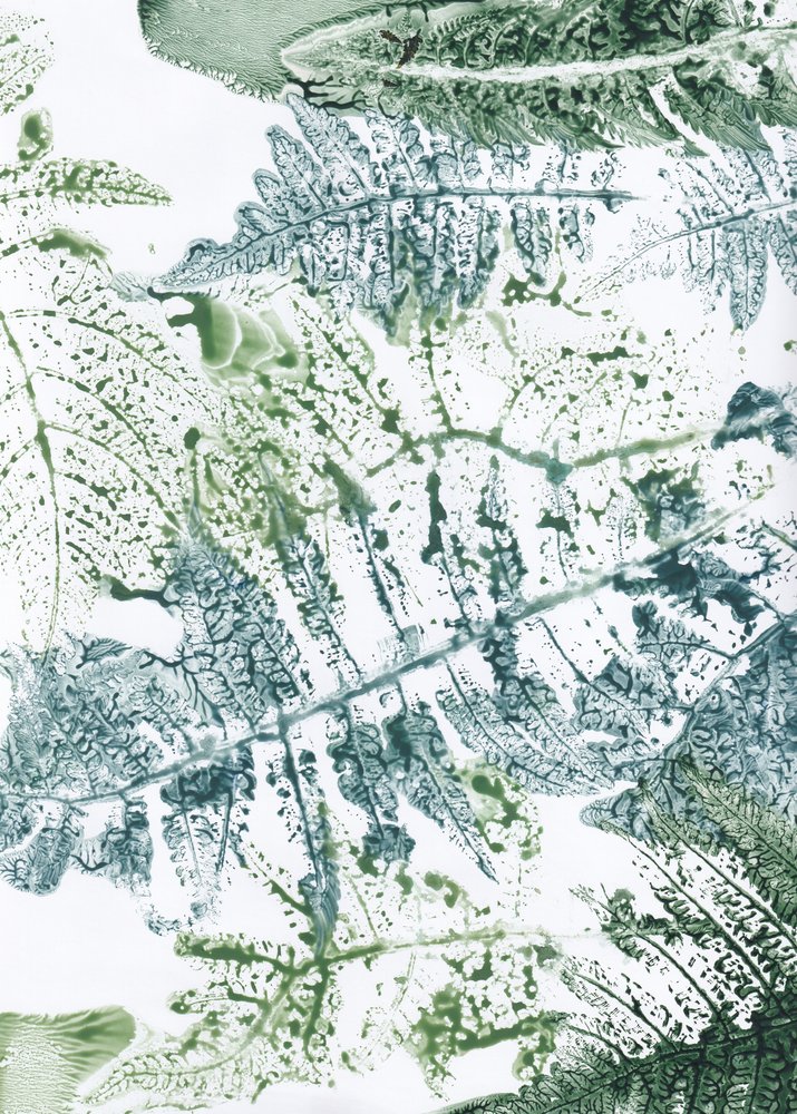 Botaniske indtryk af bregner af Maira Ribena