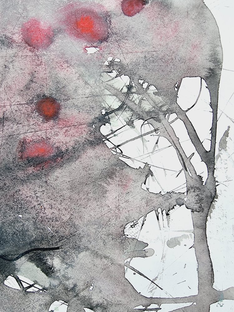 Resumé af »Crimson Branch« af Maira Ribena