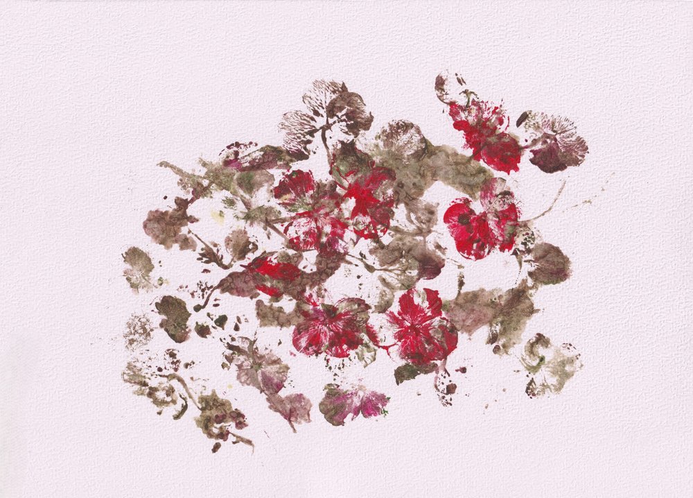 Jordnære blomsterindtryk af Maira Ribena