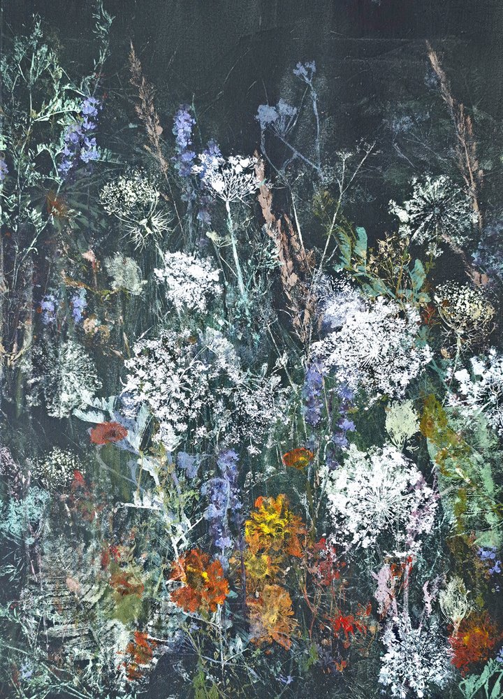 Midnatsblomstring af vilde blomster af Maira Ribena