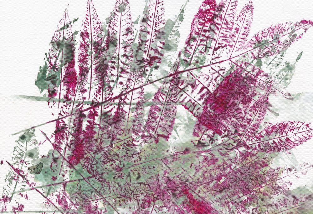 Farverige botaniske bregner af Maira Ribena