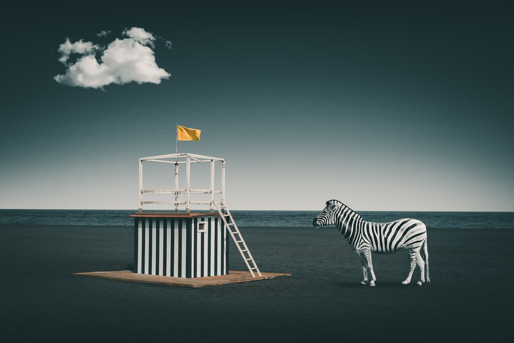 Surrealistisk strandzebra af Marcus Hennen