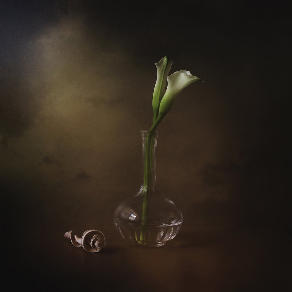 Elegante calla-liljer af Margaret Halaby